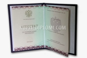 купить аттестат за 9 класс нового образца