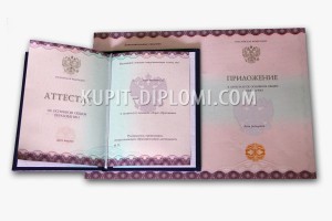 купить аттестат за 9 класс 2014-2026 нового образа