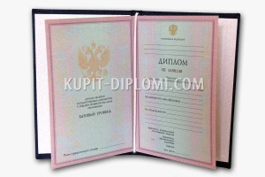 diplom-srednee-2004-1