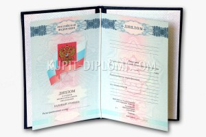 купить диплом среднего образования 2007-2010