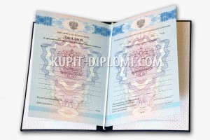 diplom-srednee-2011-1