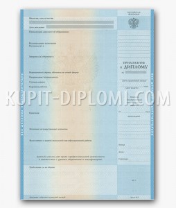 приложение к диплому о высшем образовании 2004-2009