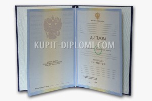купить диплом вуза 2010-2011